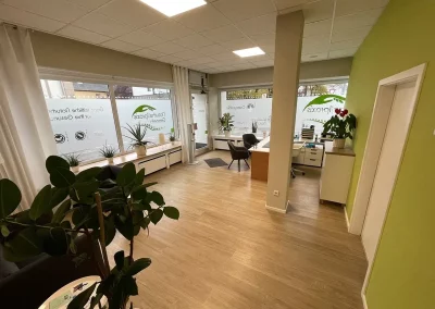 Empfangs- und Eingangsbereich der Naturheilpraxis Gransch mit Schreibtisch und Sitzgelegenheiten